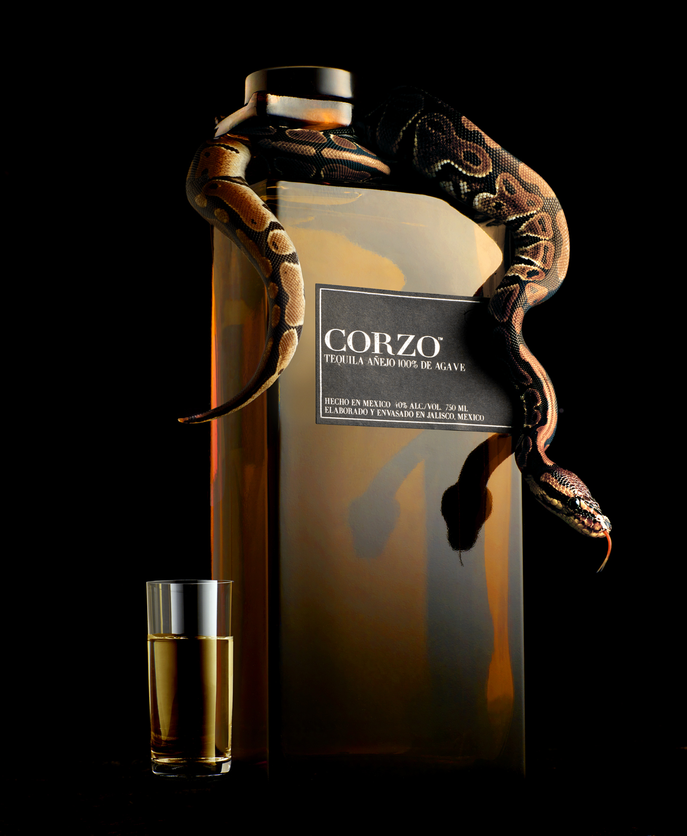 Corzo snake