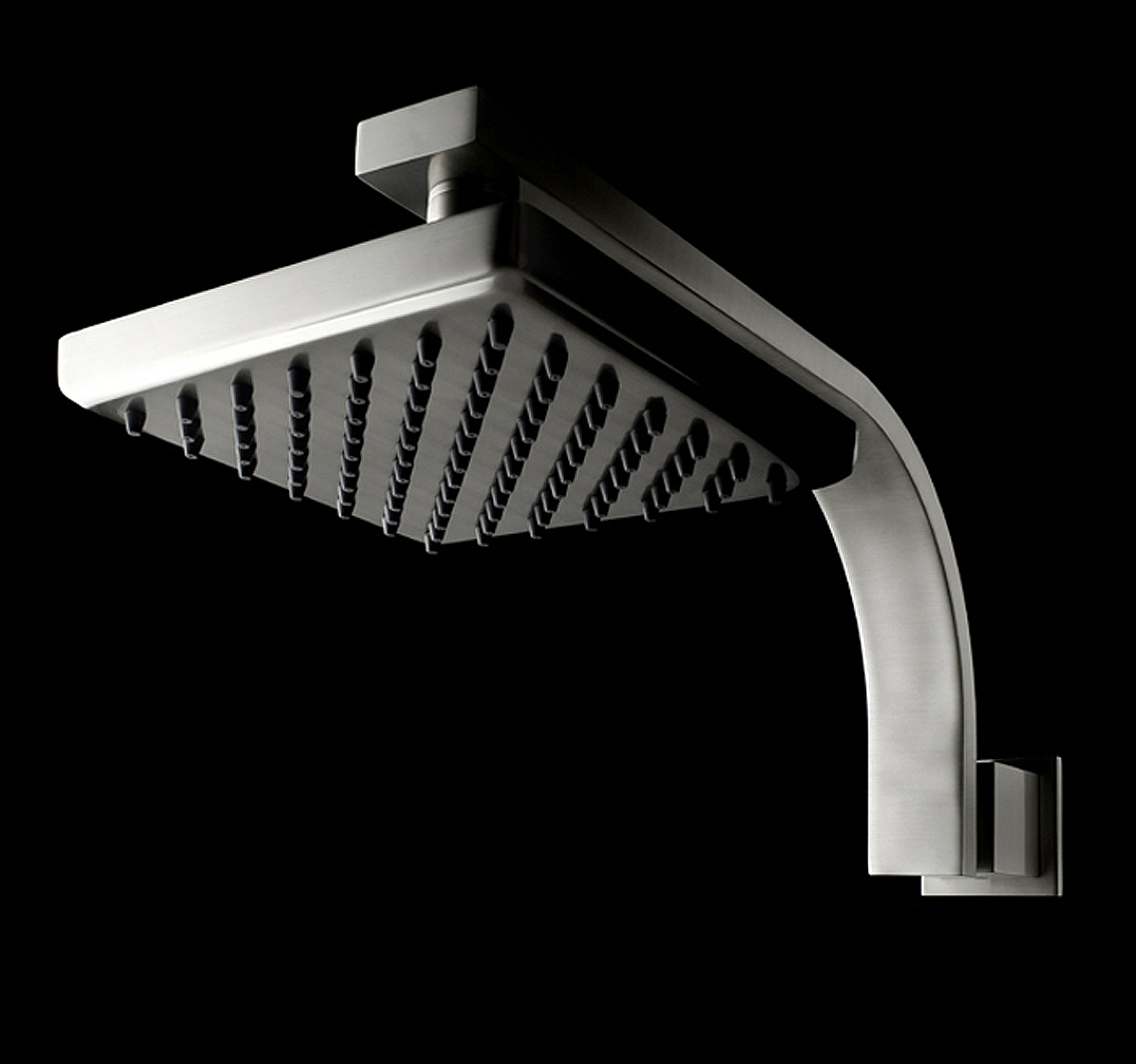 d Danze shower head ip 3